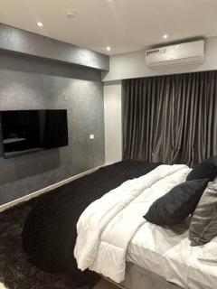 1 bedroom executive apartment at Osu, Solaris - 8