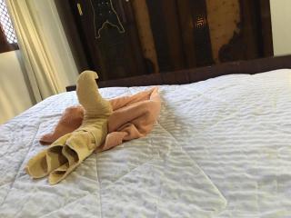 Garden view guest house - 8