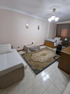 Alexandria Downtown Apartment - Alexandrie - 7