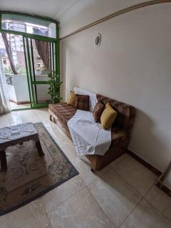 Alexandria Downtown Apartment - Alexandrie - 2