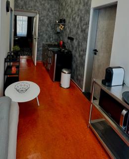 Central apartments - Brno - 9
