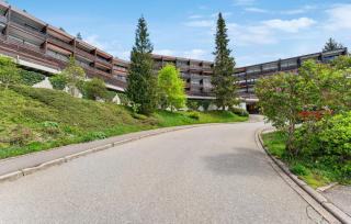 Beautiful Apartment - Obertal - 1