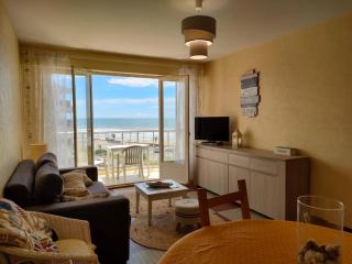 Appartement 1 chambre proche plage et commerces, garage privé, animaux admis - FR-1-323-411 - 9