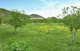 Awesome Apartment In Roccamonfina - Roccamonfina - 3