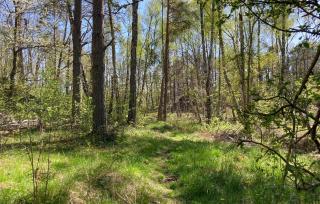 3 Bedroom Awesome Home In Karlshamn - Karlshamn - 5