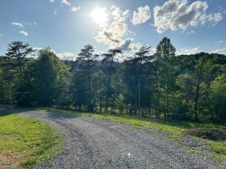Bailey wick farm Fincastle retreat - Eagle Rock - 2