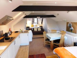 Large quiet studio with outside-seating & parking - 7