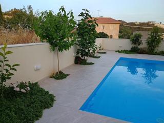 Brand new 4 bedroom villa in Palodeia - Palodhia - 7