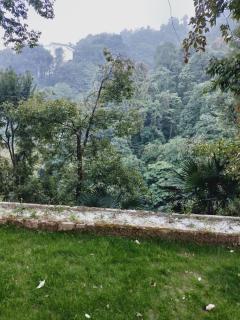 The Mountain Quail - Mussoorie - 9