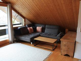 Modern Holiday Home with Mountain View - Bezau - 3