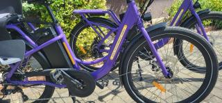 Zwei Schlafzimmer Ferienapartment Anna am Stubenbergsee inklusive vier E-Bikes - 4