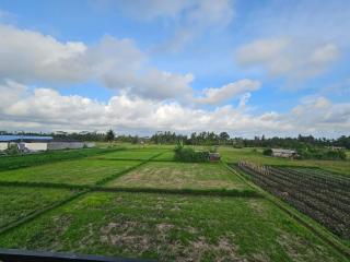 Krisna Tapan Guest House - 2