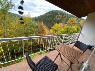 Waldhaus Max - Bad Wildbad - 9