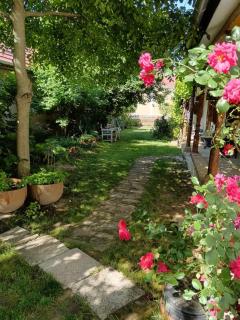 Feked Farmstay - Feked - 7