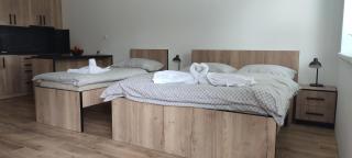 Apartmán Orchidea - Stará Ľubovňa - 6