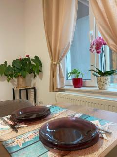 Apartament Magnolia - 7