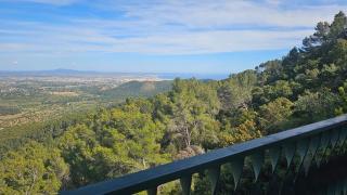 Finca Es Verger Coll de Tords - Esporles - 3