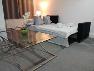 Monmouth House Aylesbury Premier Quality Accommodation For Larger Families Contractors And Professionals Sleeps Up to 6 Guests - Buckinghamshire - 7