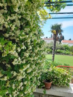 Stone House in Buljarica - Petrovac na Moru - 8