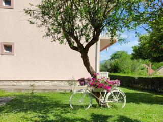 Apartman DolceRosa - Kotor - 2
