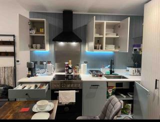 Kew garden, brand new, large 1bd, optical fibre, carpark, cozy - Brentford - 2