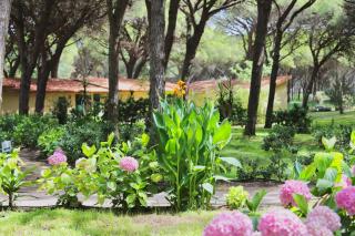 Residence with swimming-pool in Arborea just 300 meters from the beach - Arborea - 1