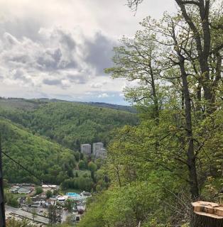 De Winter - Bad Harzburg - 4