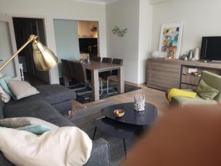 Luxurious T3 garage, View On The Noordzee, 2-6 p baby in Ostend Plein Center - Ostenda - 1