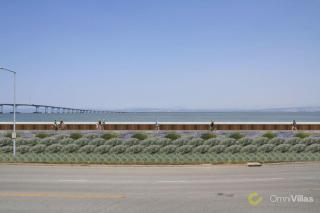 Stunning 3BR in Foster City - Foster City - 9