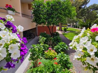 Guest House Antonia - Baška Voda - 1