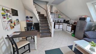 Solaris Ferienwohnung 53qm Netflix Glasfaser 76771 Hördt - Hördt - 8