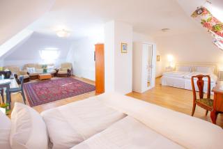 Marinela's BnB - Vienne - 5