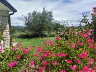 Villa Palazzon - Nova Vas ~ Novigrad - 4