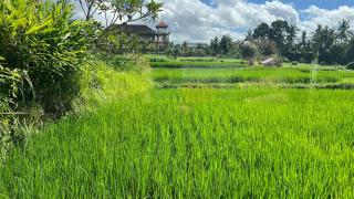 Villa Karma - Ubud - 3