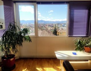 Spacious central apartment with city views - Sibiu - 8