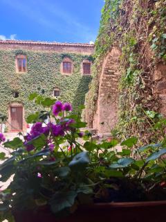 La Casetta nel Cortile - Castelbuono - 3