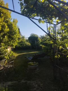 Zala Apartment - Zgornje Škofije - 5