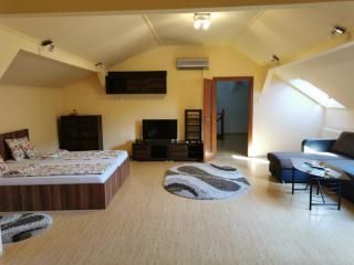 Premier Apartment - Satu Mare - 9