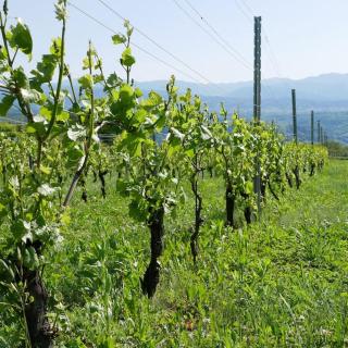 vacation house WAKURA わ蔵 - 9