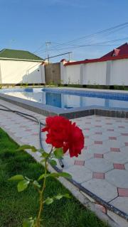 Red villa Gabala - Gabala - 8