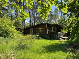 Ferienhaus Waldeule - 5