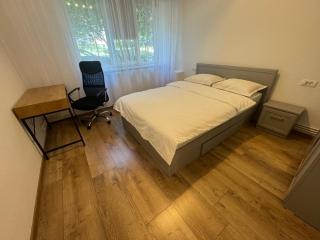 Peony Apartament - Craiova - 6