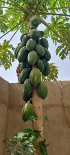 Sanyang Retreats - Serene Getaway - 5