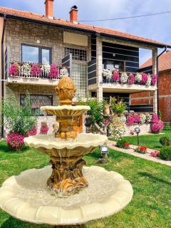 Vila Petunija - Sjenica - 9