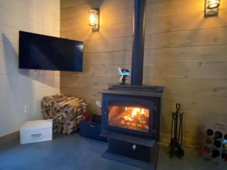 Repaire des bouleaux - 5