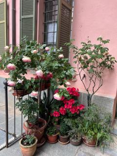 Maison des Artistes - Pinerolo - 4