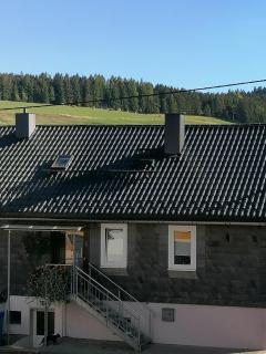 Große Ferienwohnung am Rennsteig - Neuhaus am Rennweg - 0