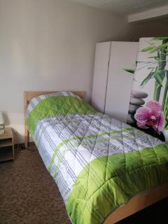 Große Ferienwohnung am Rennsteig - 1
