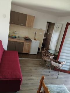Banja Vrujci Apartmani Nikolic - Popadić - 1