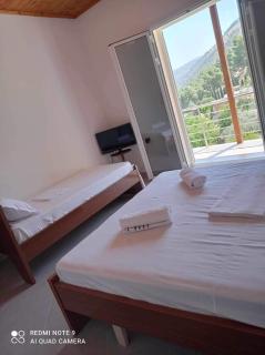 Guest House Emiljos Flamur - Berat - 1
